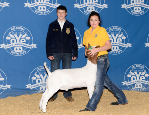 5-results-15_oye_darcywhitley_premiumsale_traditional